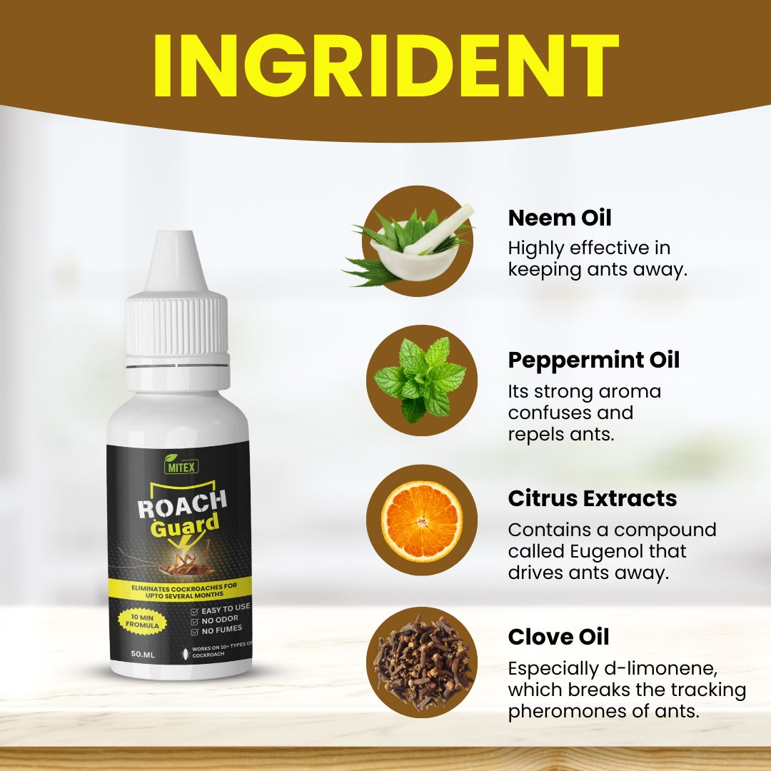 Roach Killer Gel - Long-Lasting & Eco-Friendly Protection