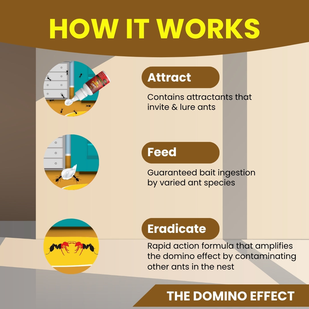 Pest Guard Combo - Best Cockroach, Ant and mite repellent for your home